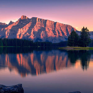 Meet your Posher, Abenezer